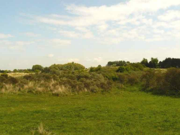 Primal area, low dunes, near the peatland.
