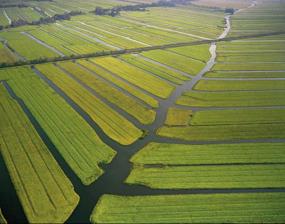 Ditches of the peatland, still excist today.