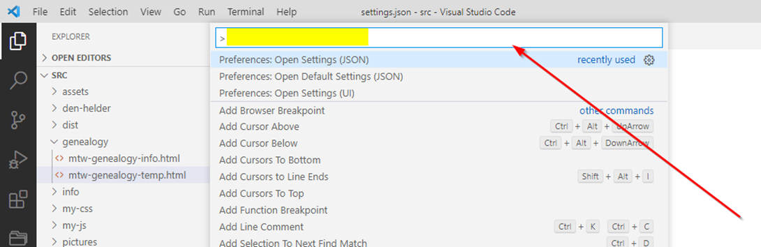 Visual Studio Code, Tips settings.json, find setting.